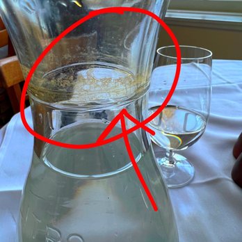 Golden Pheasant Inn - The water we received for the table was filthy with dried scummy dirt. I didn't realize it until after I drank a glass of water. - New American Near Me - Erwinna, Pennsylvania
