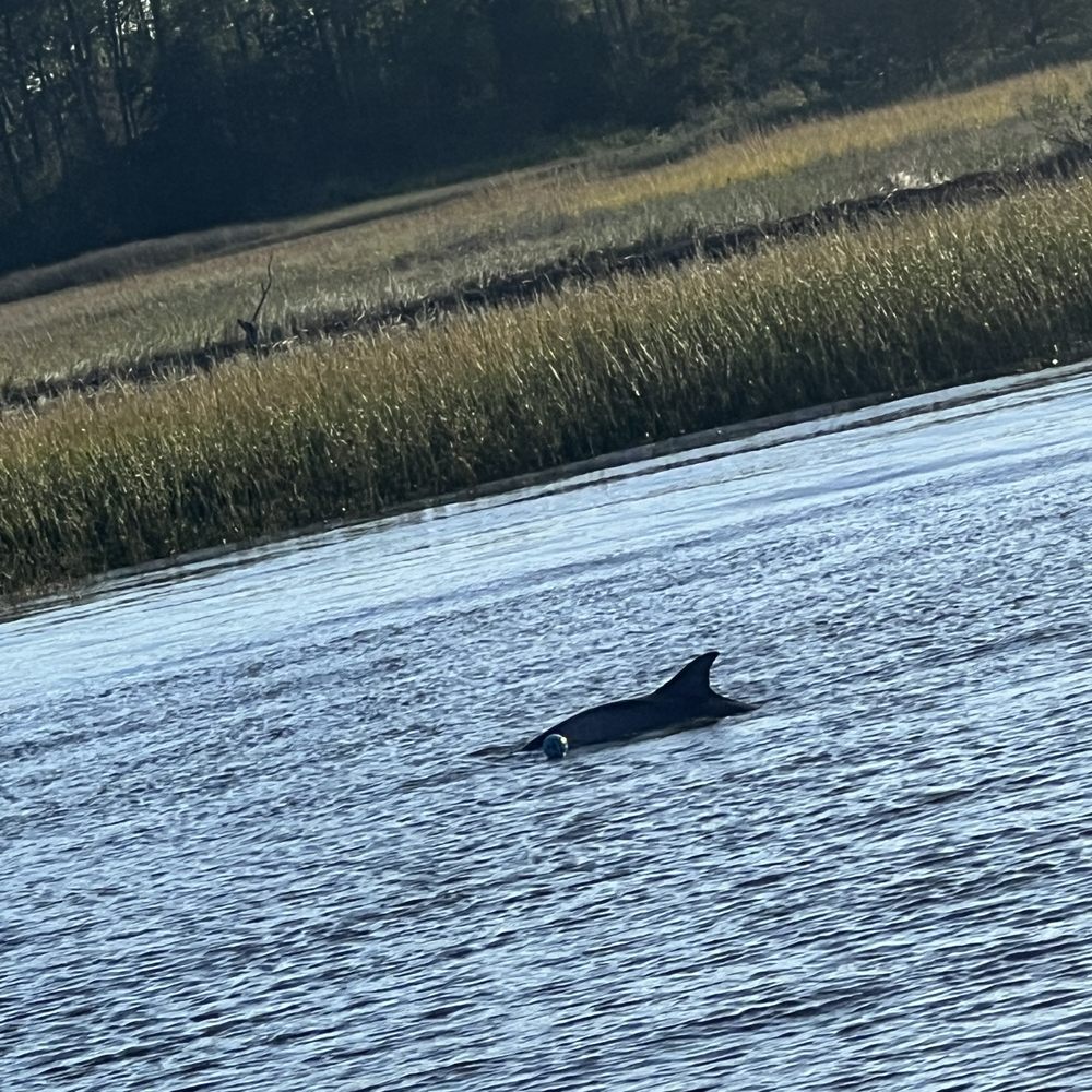 Hurricane Fleet - Fishing Near Me - Calabash, North Carolina