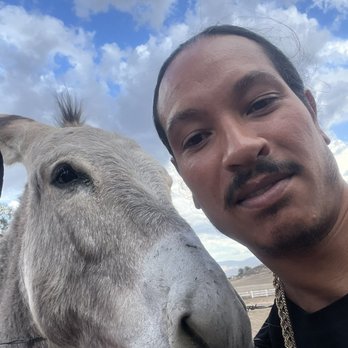 OwlBee Farm - Me and my friend donkey - Campgrounds Near Me - Hemet, California
