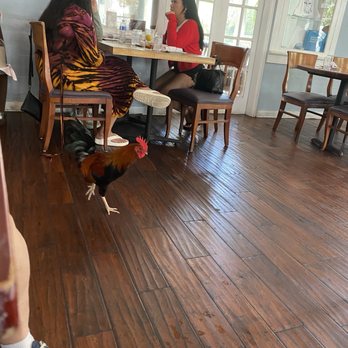 First Flight Island Restaurant & Brewery - Local resident - New American Near Me - Key West, Florida