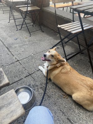 HasenStüble by null