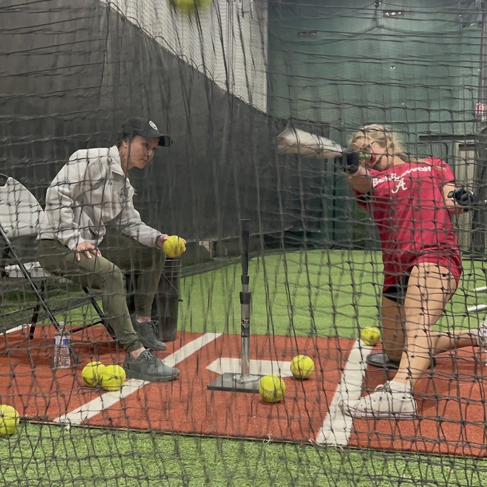 Hitting Mat Baseball F Fityle Batting Cage Mat Softball Turf - Main Image