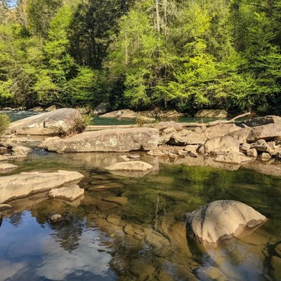 Audra State Park by null