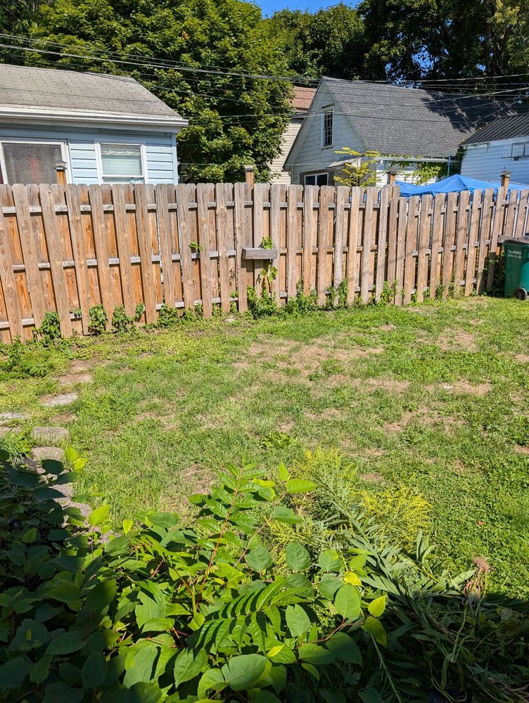 Triple A Tree Care And Landscaping - tree service in Tonawanda, NY