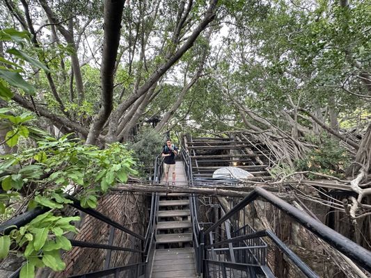 Former Tait & Co. Merchant House by null