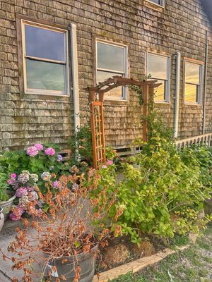 The Paper Canoe by null