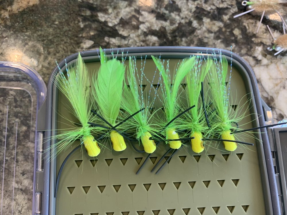 SPORTSMAN’S WAREHOUSE Updated August 2024 35 Photos & 39 Reviews