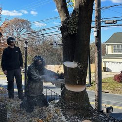 ArbPro Tree Removal and Pruning