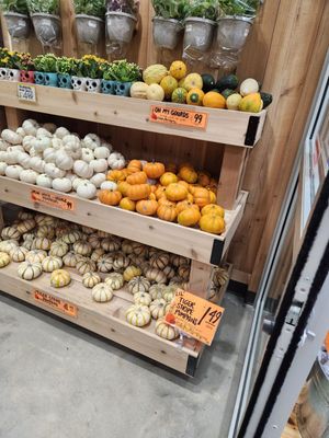 Trader Joe's by null