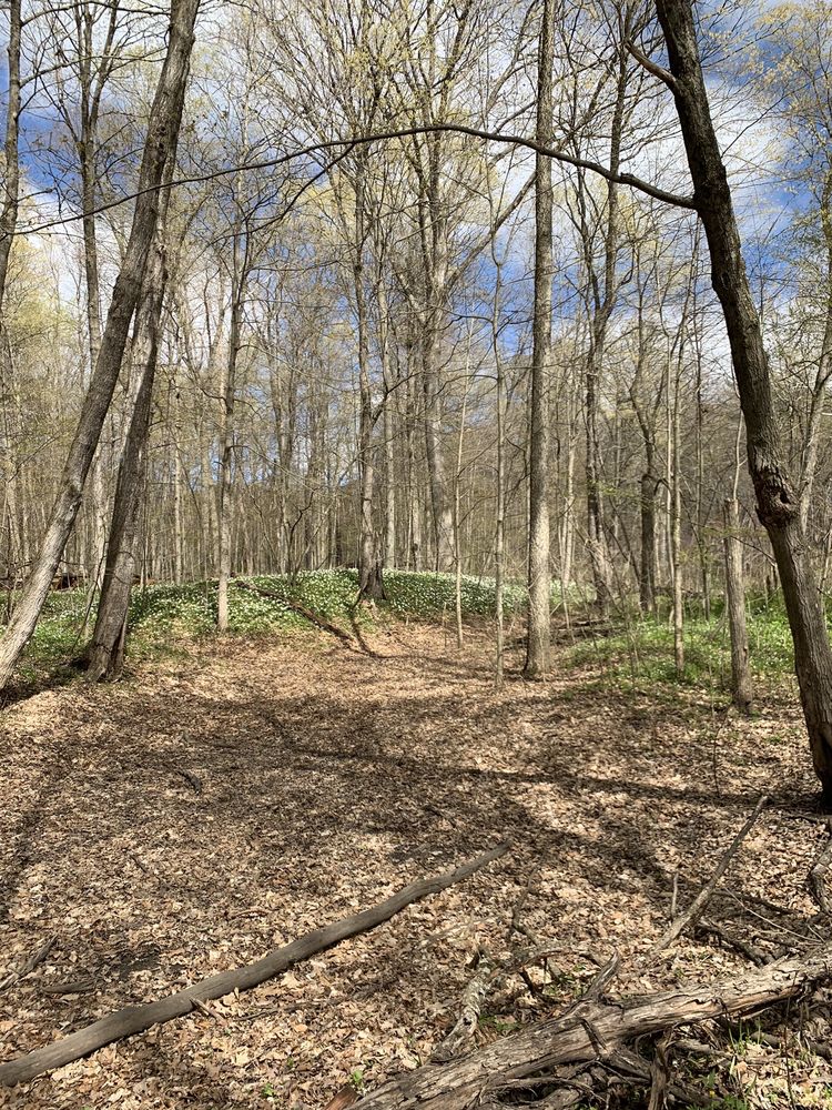 Social spots from Aman Park