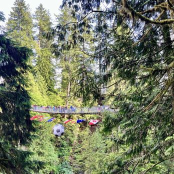 Capilano Suspension Bridge Park - Parks Near Me - North Vancouver, British Columbia