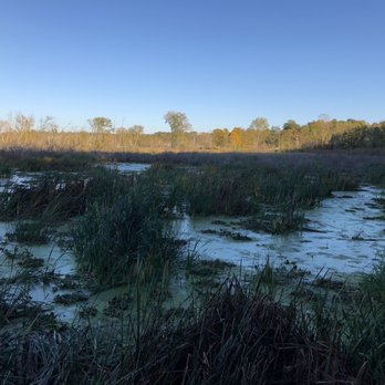 Galien River County Park - Parks Near Me - New Buffalo, Michigan