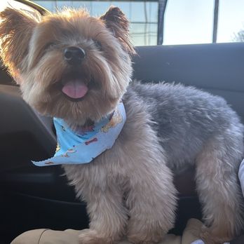 Happiness Grooming - Pet Groomers Near Me - Van Nuys, California Happiness Grooming - Pet Groomers Near Me - Van Nuys, California