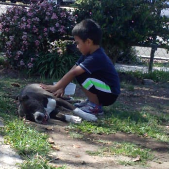 DogZenergy - Getting love from her Teddy - Pet Training Near Me DogZenergy - Getting love from her Teddy - Pet Training Near Me