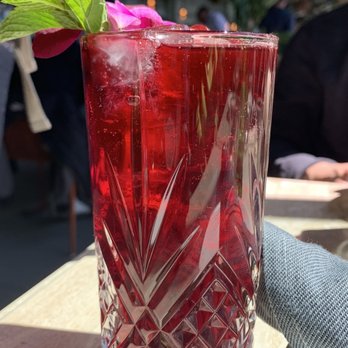 Terra - Gin n tonic - Italian Near Me - Santa Clara, California