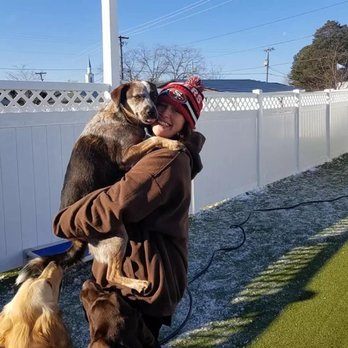Dogs All Day - Pet Sitting Near Me - Charlotte, North Carolina Dogs All Day - Pet Sitting Near Me - Charlotte, North Carolina