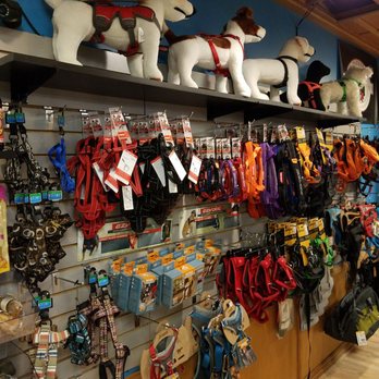 A Place for Fido - Pet Stores Near Me - Duluth, Minnesota A Place for Fido - Pet Stores Near Me - Duluth, Minnesota