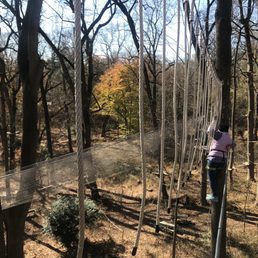 TREETOP QUEST PHILLY - Updated August 2025 - 49 Photos & 49