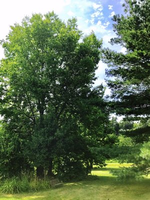 Ethan Allen Homestead Museum and Historic Site by null