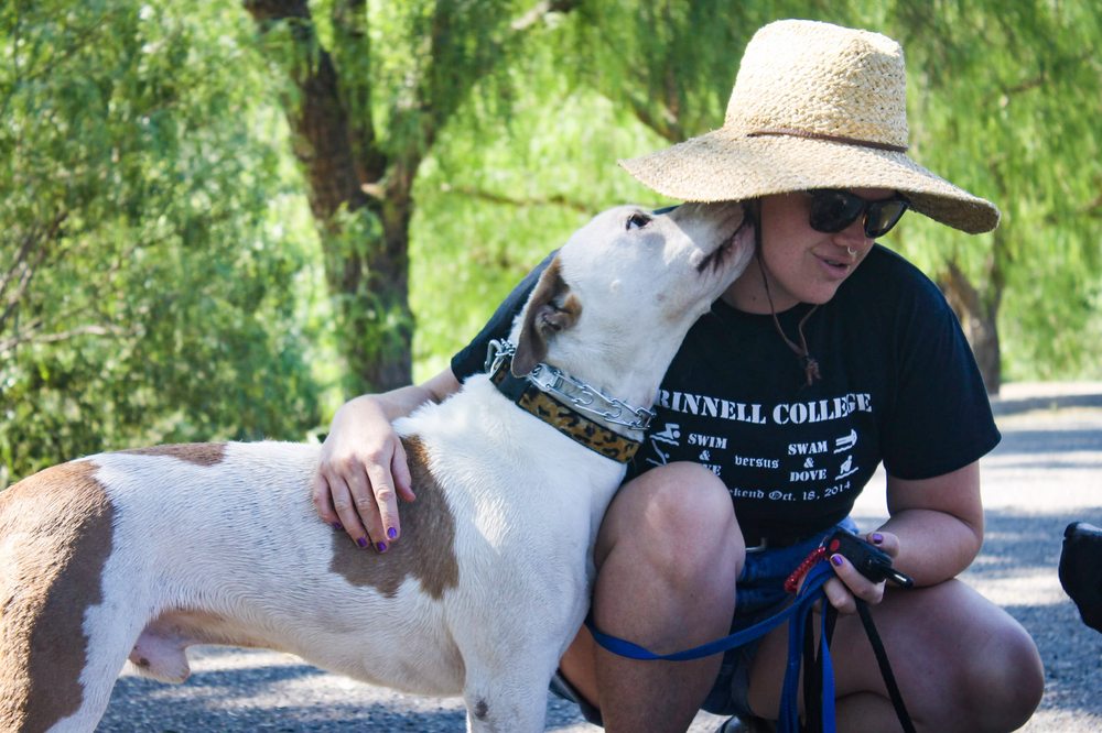 QYS DOG TRAINING 11 Photos Santa Ynez, California Pet Training