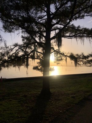 de la Bleau B&B by null