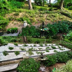 ENVY Pristine Landscapes