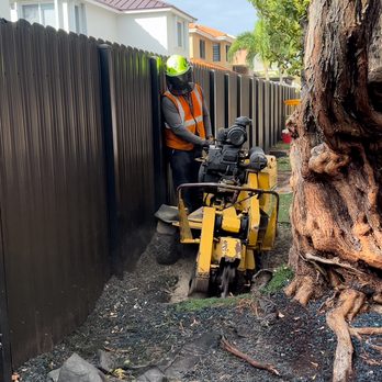 OnTop Tree Service - Stump grinding selected roots so our client can install turf on his backyard. - Tree Services Near Me OnTop Tree Service - Stump grinding selected roots so our client can install turf on his backyard. - Tree Services Near Me