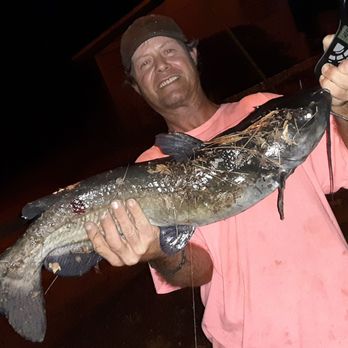 Jollisant Farms - My eleven pound catfish - Fruits & Veggies Near Me - Plantersville, Texas