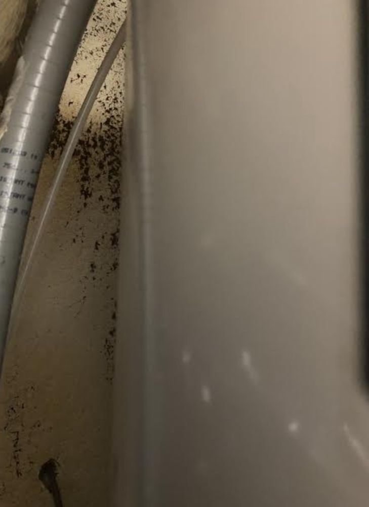 PLANTATION OAKS APARTMENTS Updated September 2024 831 Sniders Hwy