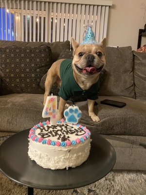Birthday Cakes - Birthday Cakes Birthday Cakes - Birthday Cakes