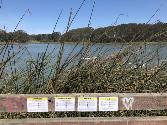 Lake Merced Park by null