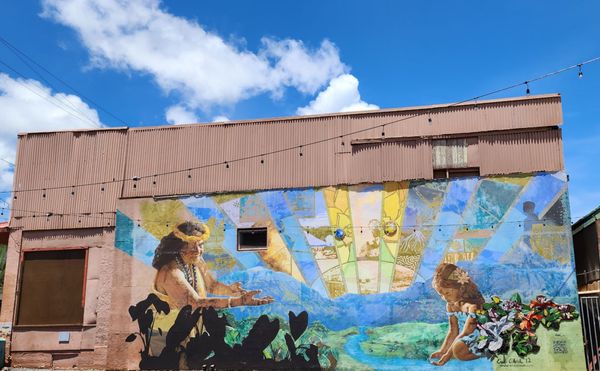 Native Intelligence by null