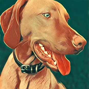 DalyPetCare - Just a photo to brag on how handsome my dog is - LOL! - Dog Walkers Near Me - Baltimore, Maryland DalyPetCare - Just a photo to brag on how handsome my dog is - LOL! - Dog Walkers Near Me - Baltimore, Maryland