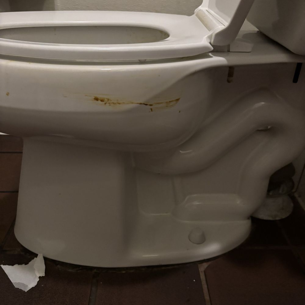 The only toilet for customers to use in the restaurant was smeared with feces all down the side and some was dripped down the side also.