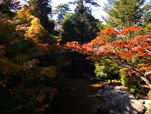 Momijidani Park by null