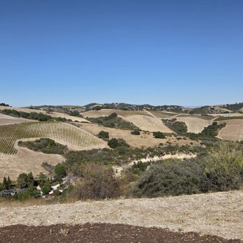 Law Estate Winery - Wineries Near Me - Paso Robles, California Law Estate Winery - Wineries Near Me - Paso Robles, California