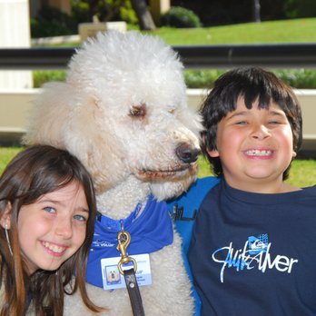 Therapy Dogs Central Oregon - "Apollo" with two friends @ UCLA Xmas 2010 - Pet Training Near Me