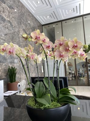 Taipei Economic & Cultural Office in Los Angeles by null