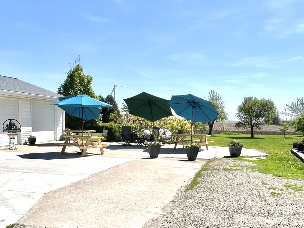 Backyard Vines - vineyard in Traer, IA