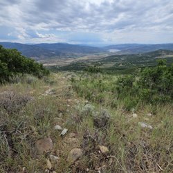 Z Cross Ranch