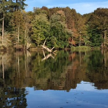 Ed Allen's Campgrounds - Chickahominy Lake is very tranquil - Campgrounds Near Me - Lanexa, Virginia Ed Allen's Campgrounds - Chickahominy Lake is very tranquil - Campgrounds Near Me - Lanexa, Virginia