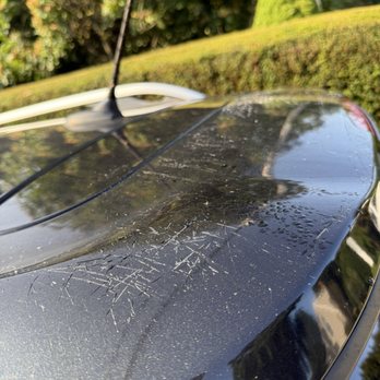 A Squared Mobile Detailing - Damaged top of car that after professional evaluation was deemed to be because of improper brushes used - Auto Detailing Near Me A Squared Mobile Detailing - Damaged top of car that after professional evaluation was deemed to be because of improper brushes used - Auto Detailing Near Me