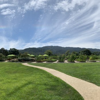 Brix - Their garden - New American Near Me - Napa, California