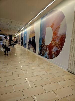 The Shoppes at Carlsbad by null