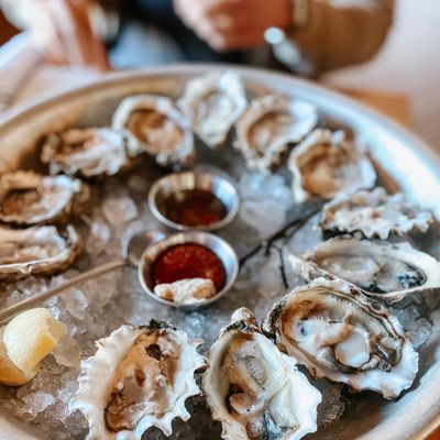 The Shuckery by null