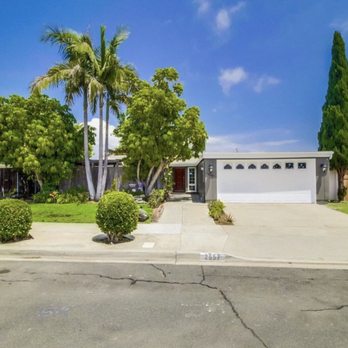 South California Arborists - Before - Tree Services Near Me South California Arborists - Before - Tree Services Near Me