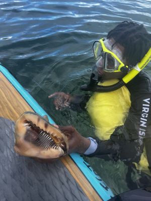 Virgin Islands Ecotours - St. Thomas by null