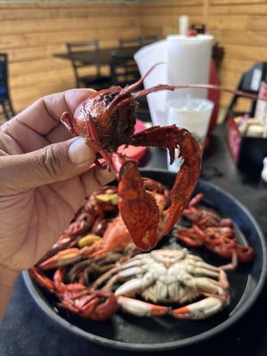 Seither’s Seafood by null