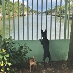Waterways Dog Park