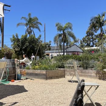 Dart Coffee Co - Coffee Roasteries Near Me - Santa Barbara, California